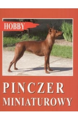 Pinczer miniaturowy