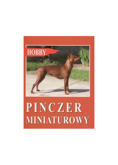 Pinczer miniaturowy