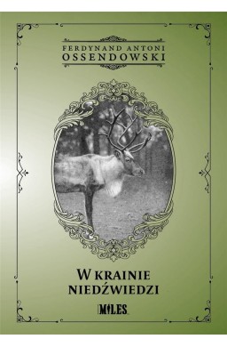 W krainie niedźwiedzi