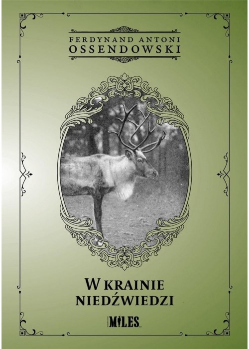 W krainie niedźwiedzi