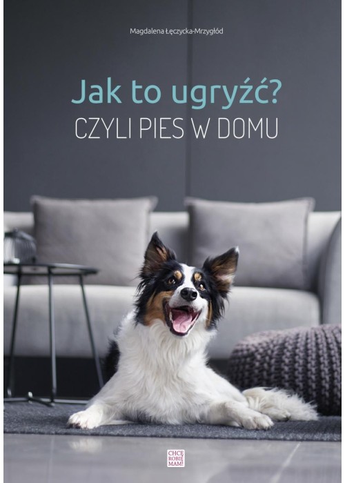 Jak to ugryźć? Czyli pies w domu w.2020