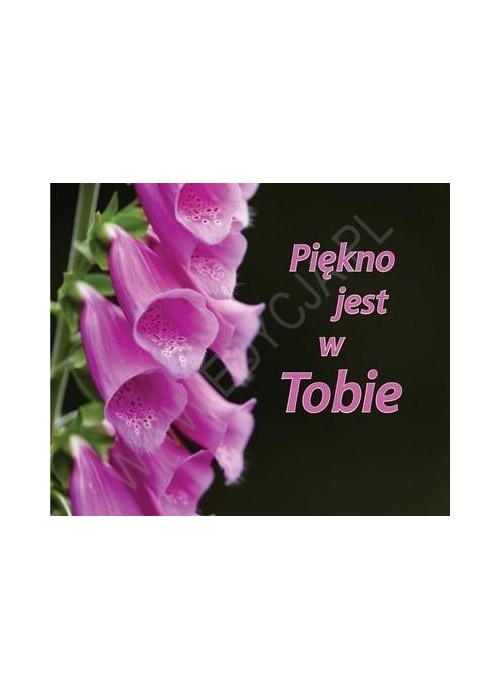 Perełka 155 - Piękno jest w Tobie