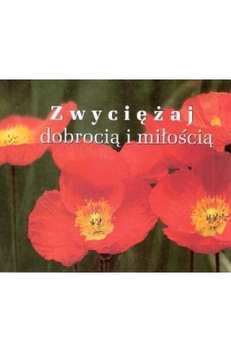 Perełka 193 - Zwyciężaj dobrocią i miłością.