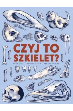 Czyj to szkielet?