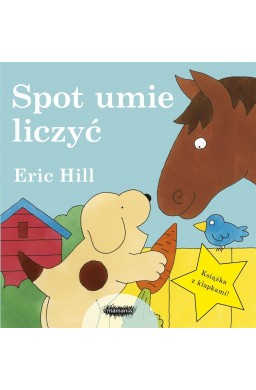 Spot umie liczyć