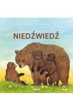 Dzikie zwierzęta w naturze. Niedźwiedź