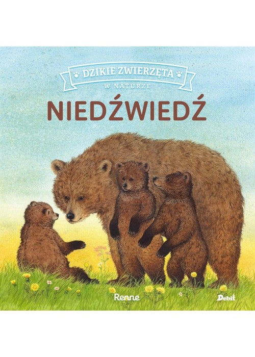 Dzikie zwierzęta w naturze. Niedźwiedź