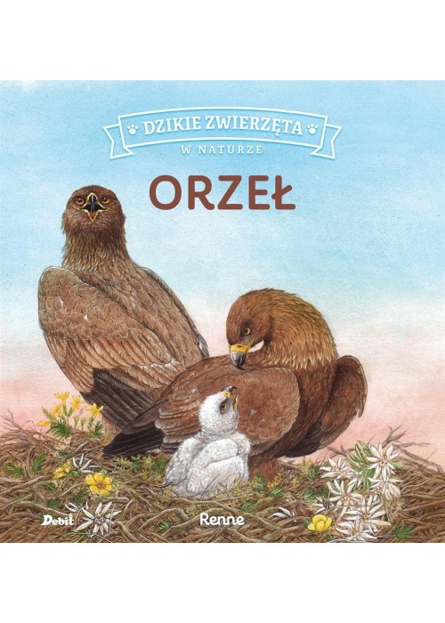 Dzikie zwierzęta w naturze. Orzeł