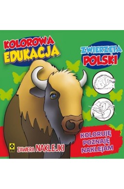 Kolorowa edukacja - Zwierzęta Polski w.2016