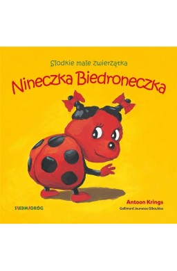 Nineczka Biedroneczka