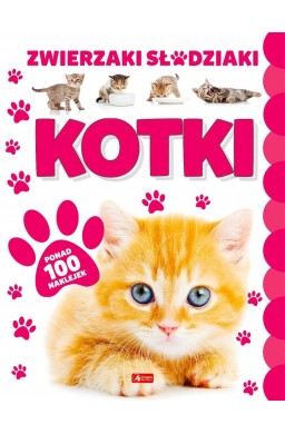 Kotki