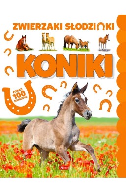 Koniki