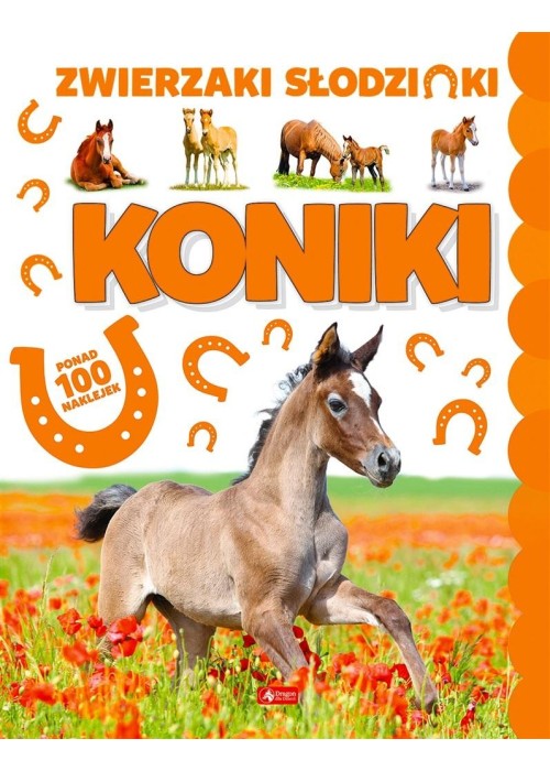 Koniki