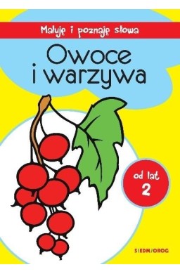 Maluję i poznaję słowa. Owoce i warzywa