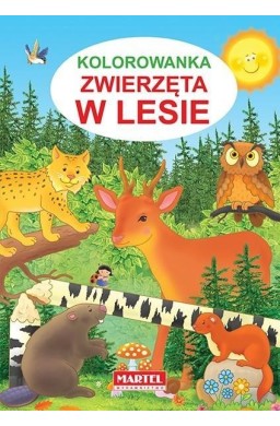 Kolorowanka. Zwierzęta w lesie