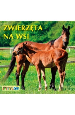 Poznajemy zwierzęta - Zwierzęta na wsi