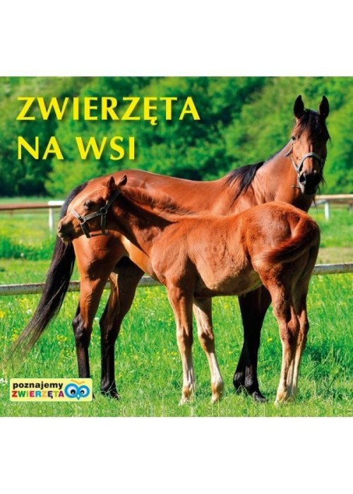 Poznajemy zwierzęta - Zwierzęta na wsi