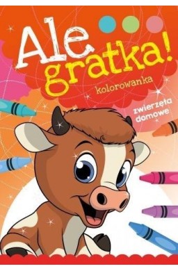 Ale Gratka! Zwierzęta domowe