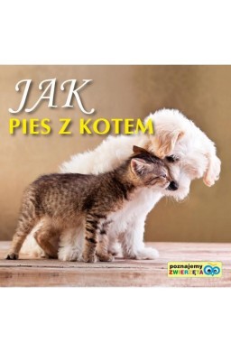 Poznajemy zwierzęta - Jak pies z kotem