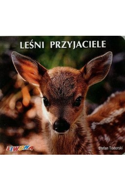 Poznajemy zwierzęta - Leśni przyjaciele