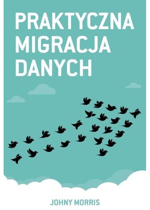 Praktyczna migracja danych