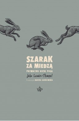 Szarak za miedzą