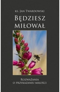 Będziesz miłował. Rozważania o przykazaniu miłości