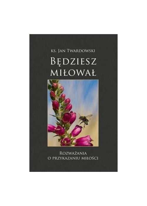 Będziesz miłował. Rozważania o przykazaniu miłości