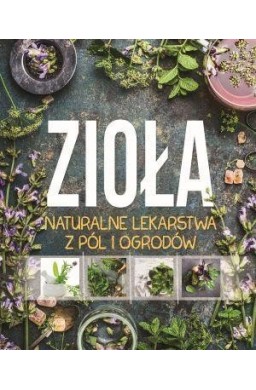 Zioła. Naturalne lekarstwa z pól i ogrodów