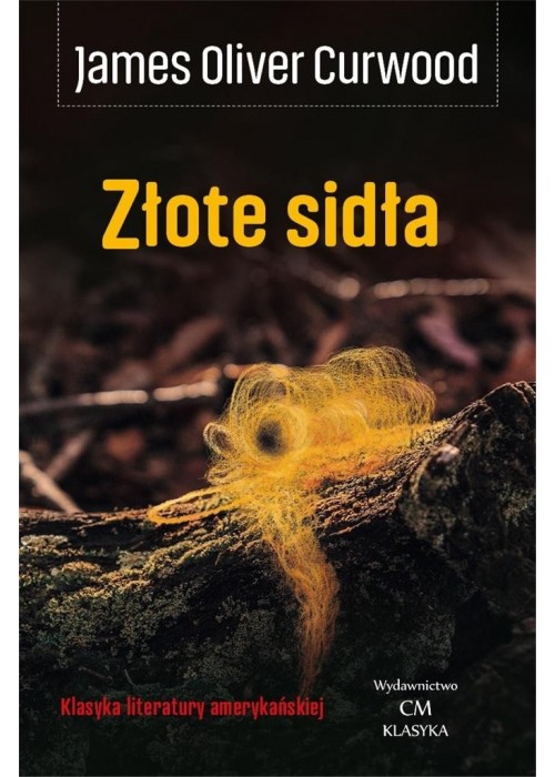 Złote sidła