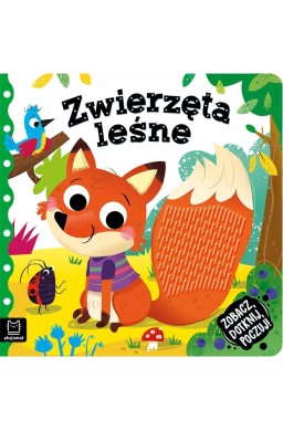 Zobacz, dotknij, poczuj! Zwierzęta leśne