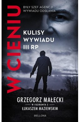 W cieniu. Kulisy wywiadu III RP