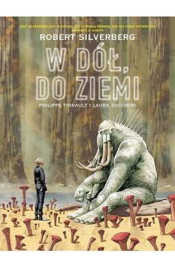 W dół, do Ziemi