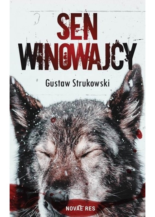 Sen winowajcy