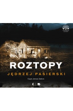 Roztopy audiobook