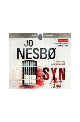 Syn audiobook w.2017