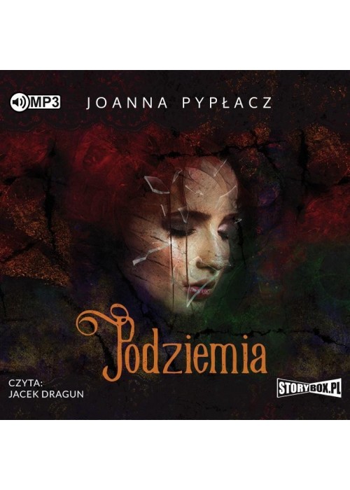 Podziemia audiobook