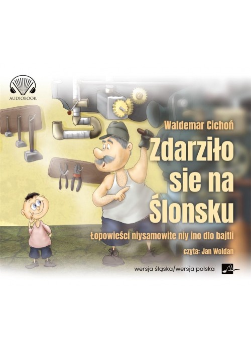 Zdarziło sie na Ślonsku. Łopowieści...audiobook