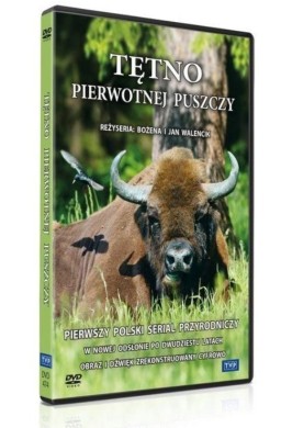 Tętno pierwotnej puszczy DVD