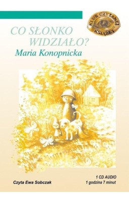 Co słonko widziało? audiobook