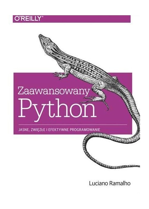 Zaawansowany Python. Jasne, zwięzłe i efek. prog.